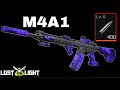 Nothing escapes the deadly precision of the m4a1 lost light