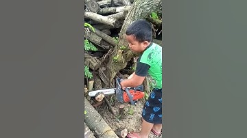 Thumbnail of test performa chainsaw new west 258 top handle.kids zaman now.#shorts #keren #woodworking