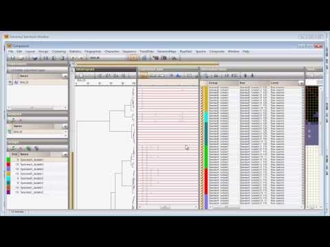 Create summary spectra (BioNumerics 7)