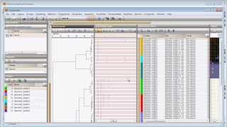 Create summary spectra (BioNumerics 7)