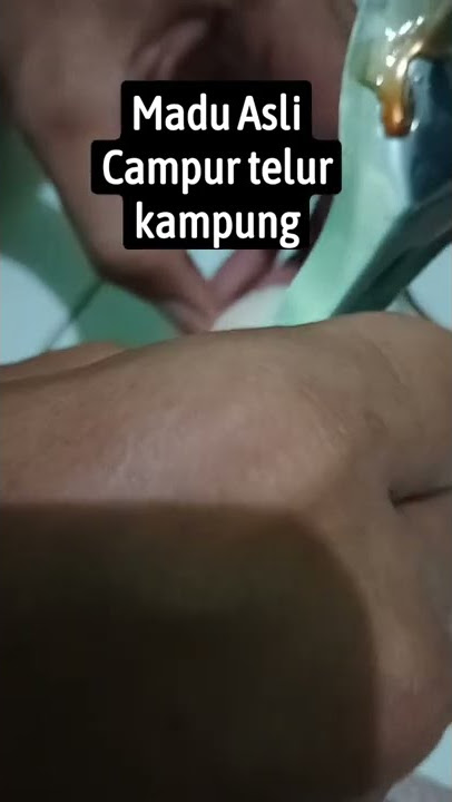 Madu Lebah asli campur telur ayam kampung. wajib coba di rumah #obatherbal