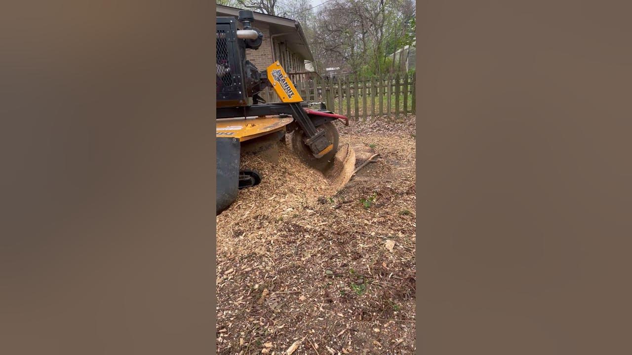 Bandit SG75 Stump Grinder YouTube
