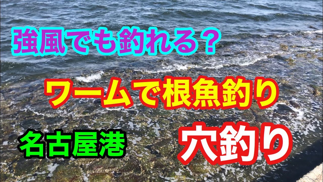 名古屋港 穴釣り 強風でも釣れる ワームで根魚釣り Youtube