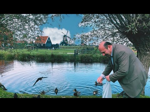 فيديو: نصائح لرحلة نهارية إلى طواحين الهواء في Kinderdijk