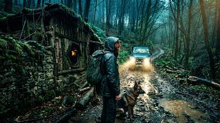 Bushcraft Camp in the Rain | My Hobbit House, Fire Cooking &amp; 3 Dogs