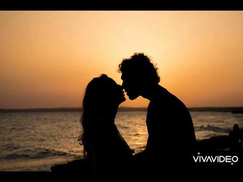     كلمات مترجمة للعربية