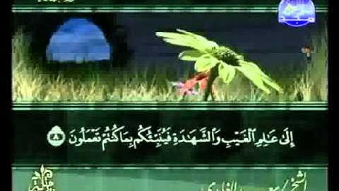 سورة الجمعة الشيخ سعد الغامدي