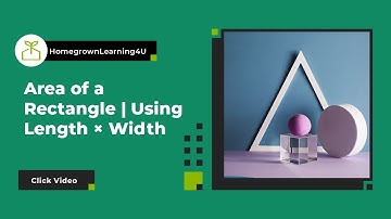 Area of a Rectangle | Using Length × Width