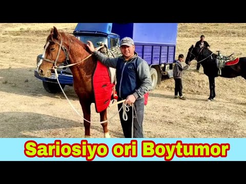 Video: Krisning sof boyligi: Wiki, turmush qurgan, oila, to'y, maosh, birodarlar