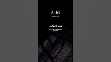 فلا يحزنك قولهم إنا نعلم مايسرون وما يعلنون - القارئ : احمد النفيس ( سورة يس ) #tiktok #quran_h2o