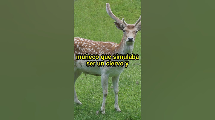 3 DEPORTES OLÍMPICOS que ya NO se practican (Eran impresionantes 🤯😨) #shorts #deportes #olimpiadas