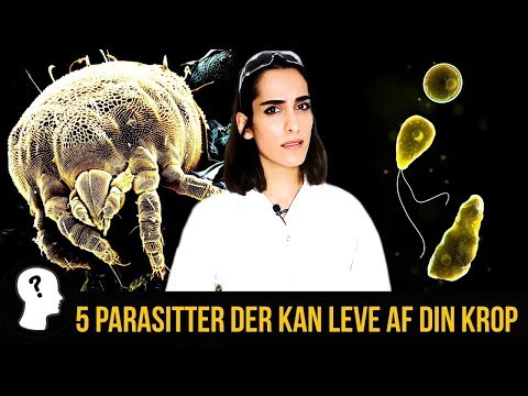 Video: Rens Kroppen Af parasitter Med Folkemidler