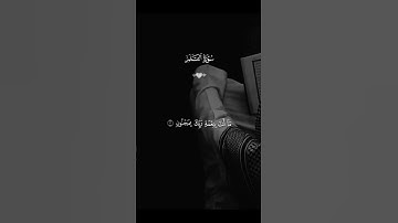 #سورة_القلم #follow #اكسبلور #راحة_نفسية #الرحمن