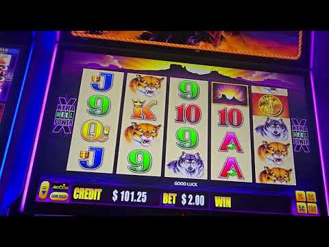 Hujan Scatter di Wild Bounty Bet 2KAPK slot bet 40perak gacor