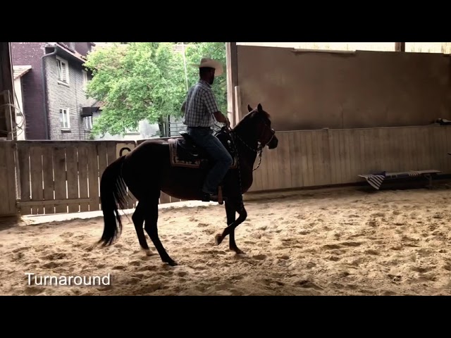 Ausbildung von Flame