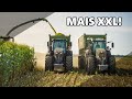 AGRARLOHN Müritz im Mais 2020! Claas Jaguar 990 im Ersteinsatz! Blackbeauty Traktoren und Agrotruck!