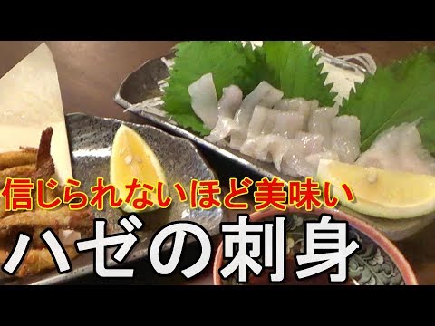 絶品！ハゼの刺身【第99回】