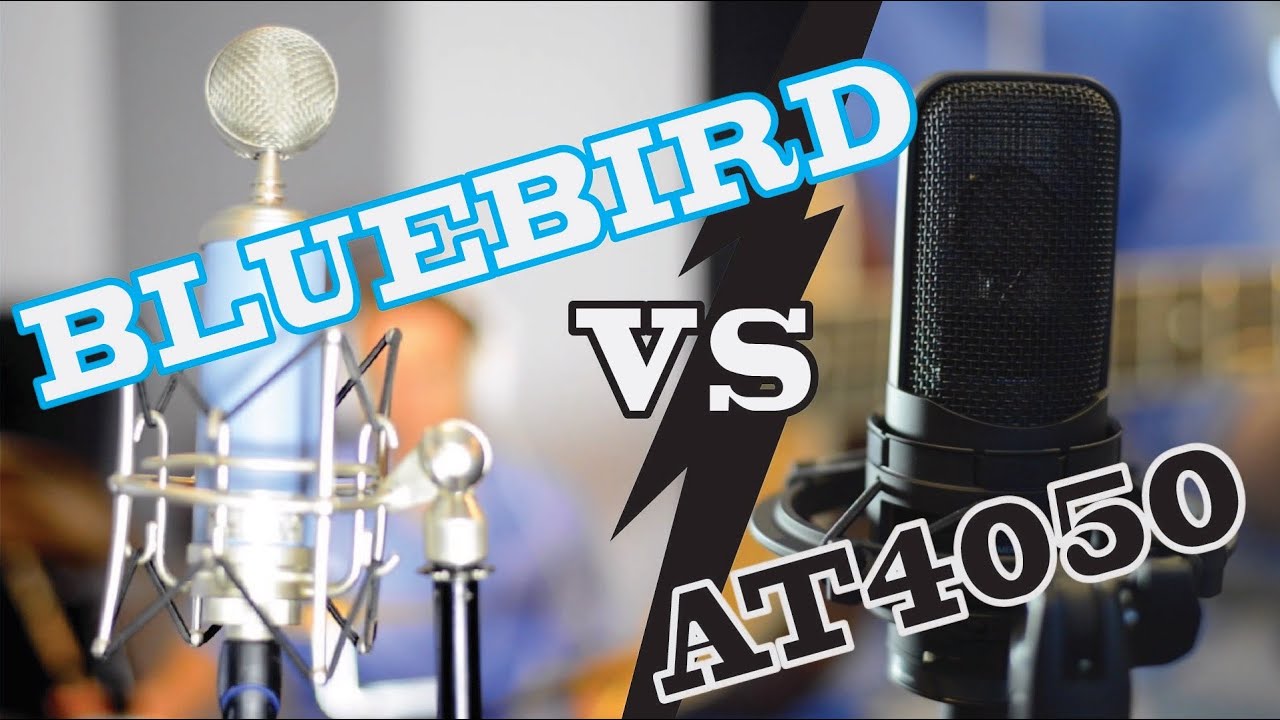 Blue Bluebird vs AT4050 Shootout