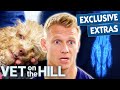 Puppy breaks 3 bones in freak accident  vet on the hill extended  bondi vet full episode