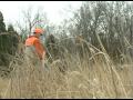 Part Two: Coach Denny Crum and Roger Burkman on a Kentucky pheasant hunt