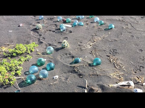 Beach combing ALASKA 2020