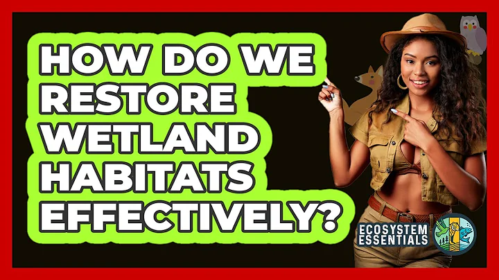 How Do We Restore Wetland Habitats Effectively? - Ecosystem Essentials