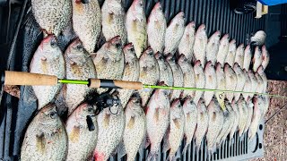 LIMIT X2‼️ 50 CREEK CRAPPIE Caught With LETHAL Double Jig Rig‼️