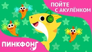 Делай Как Акулёнок! | Пойте с Акулёнком | Пинкфонг Песни для Детей