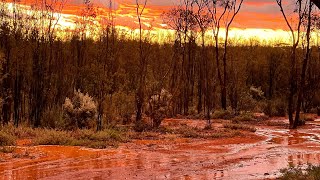 Helena & Aurora Range and Lake Ballard Tour May each year @RedtrackTours