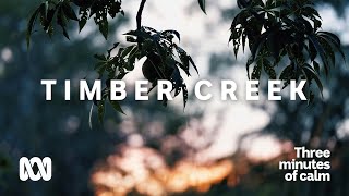 Timber Creek, Northern Territory | 3 Minutes of Calm | Your Mental Health | ABC Australia