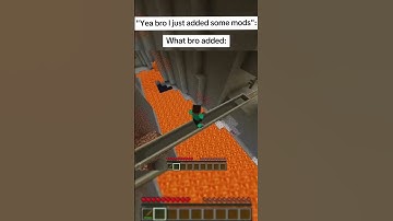 When Bro Adds Some Mods To The Server...