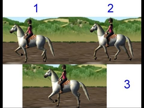 How To Ride a Horse - YouTube