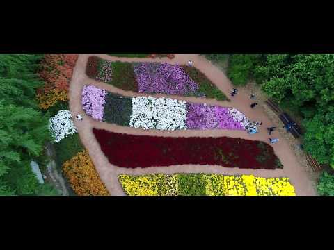 Никитский ботанический сад. Крым