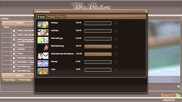 Rapid PrimeFaces Tutorial: What Will We Develop? | packtpub.com
