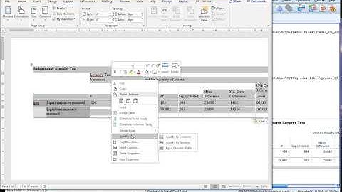 SI Tutorial - SPSS: Making T Test Table Fit into Word