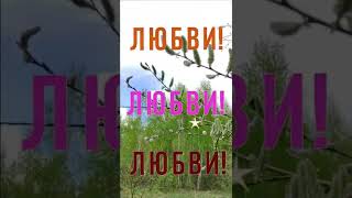 Доброго дня! Музыкальная открытка с пожеланиями!  #Shorts