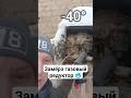 Замёрз газовый редуктор -40° Чуть не разморило 1500м2 . #сантехникlive #отопление