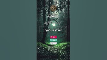 تلاوة خاشعة ومؤثرة للشيخ عبدالباسط عبدالصمد #اكسبلور #المصحف #راحة_نفسية #duet #حالات_واتس #تيك_توك