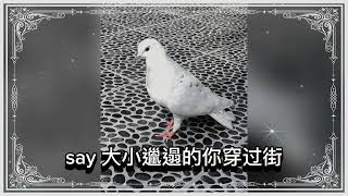 W0LF 五坚情 All day (lyrics video)(歌词版)