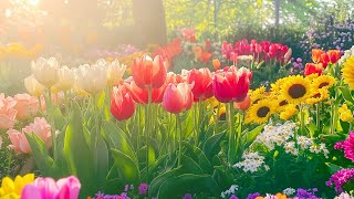 : Gentle Healing Music for Mind, Body, and Soul  | Mental, Emotional, and Spiritual Wellness