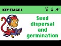 Seed Dispersal and Germination Quiz
