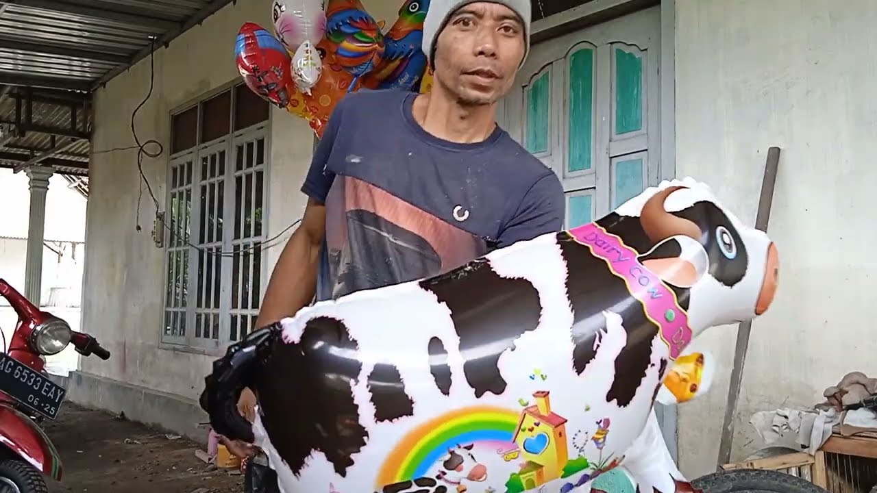 BISMILLAH persiapan malam minguan, BALON SAPI dilepas