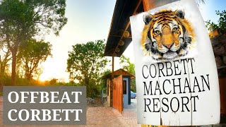 Weekend getaway from Delhi l Corbett Machaan Resort l Jim Corbett