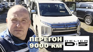 Люксовый дизель. Перегон mitsubishi DELICA D:5 из Владивостока