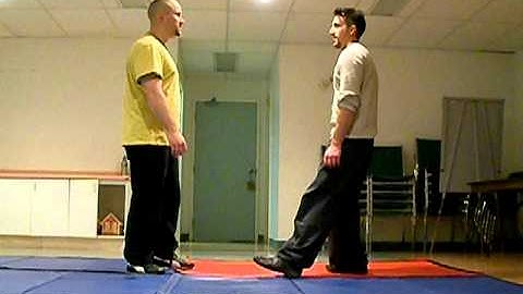 BAGUAZHANG   PAKUA FAST Application Hide Flower Under Leaf