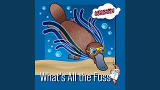 What's All The Fuss (feat. Logan McCoy)