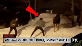 Watch Male-Karens Taunt Wild Moose Instantly Regret It