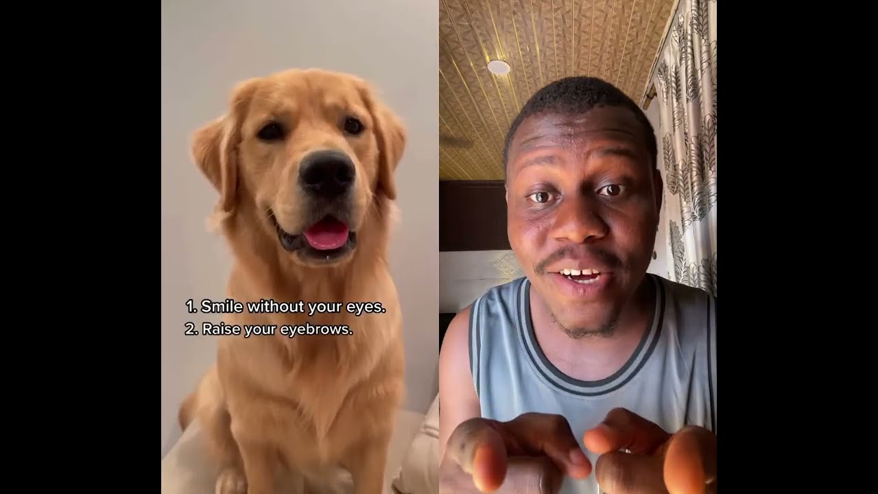  Helpmemakethismakesense Amnewbutnottheleast Funny Butifyoucloseyoureyes Funnymemes Duet