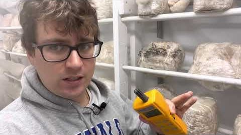 New Fruiting Room Dialed in with AZ CO2 Meter