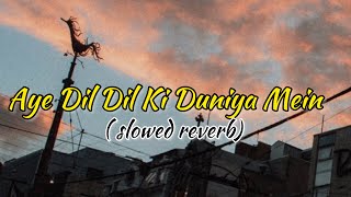 Aye Dil Dil Ki Duniya Mein | Slowed reverb | Fiza | JaanWrites @jaanwrites380